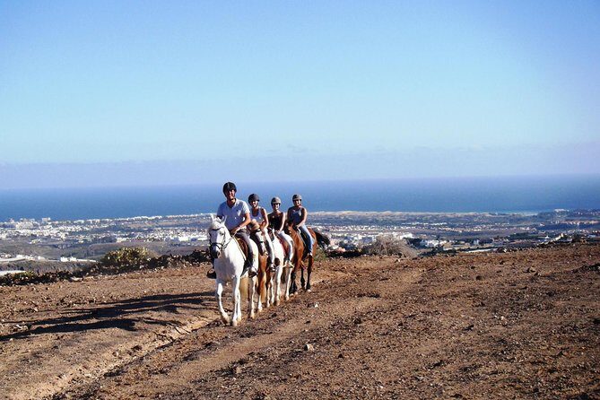 The Best Horse Riding Experience in Gran Canaria (2 hours) - Key Points