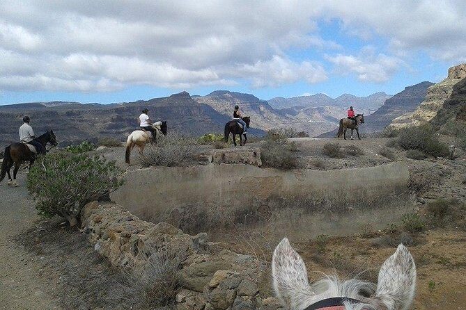 The Best Horse Riding Experience in Gran Canaria (2 hours) - Final Thoughts