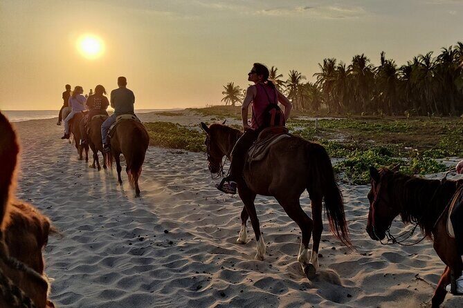 The Best Horseback Riding Trip: Wildlife, Rivers, Beach, Sunset.. - Key Points