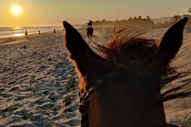 The Best Horseback Riding Trip: Wildlife, Rivers, Beach, Sunset.. - Practical Details and Considerations