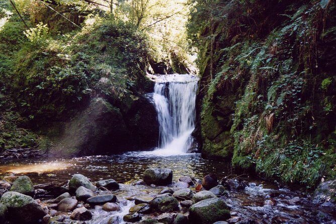 The best in Baden-Baden surroundings and Black Forest. Start from Baden-Baden - FAQ