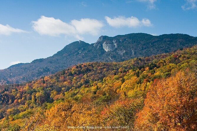 The Best of Asheville: Private 2.5-hour Walking Tour - What to Expect from the Itinerary