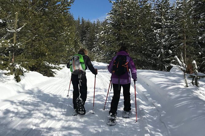 The Best of Bansko: Magical Snowshoeing Adventure & SPA - What to Expect from the Snowshoeing Experience