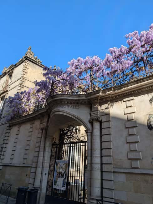 The Best of Bordeaux Walking Tour + 1 Glass of Wine - Key Points