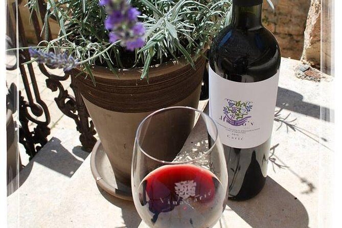 The Best of Hvar Small Group with Wine Tasting and Local meal - An In-Depth Look at the Tour Experience