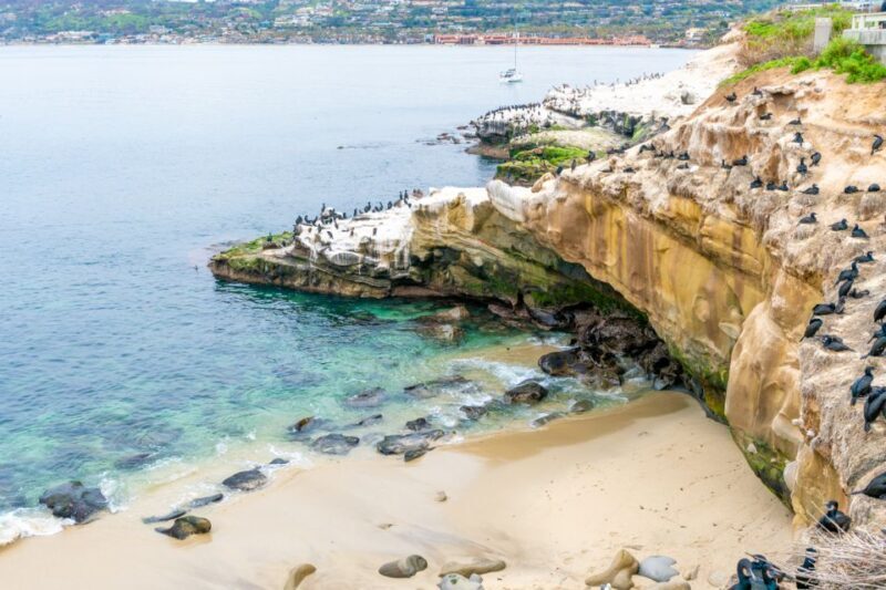 The Best of La Jolla Walking Tour - Sip, Savor & Sea - Why This Tour Works