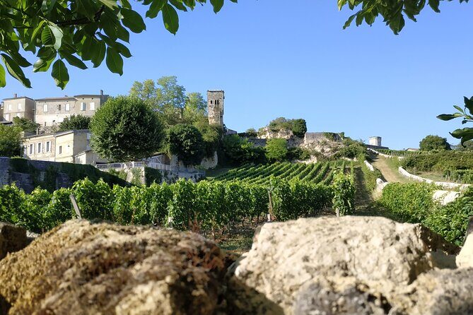 The Best Of Saint-Emilion : City Highlights walking tour - Who Should Book This Tour?