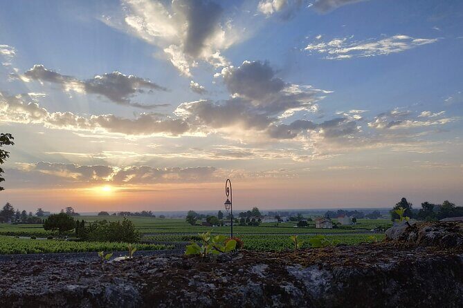 The Best Of Saint-Emilion : City Highlights walking tour - FAQs