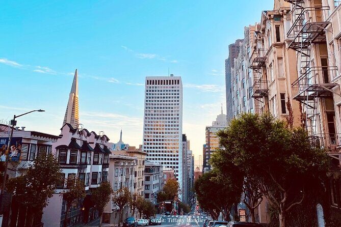 The Best of San Francisco: Private Half-Day Walking Tour - Value for Money