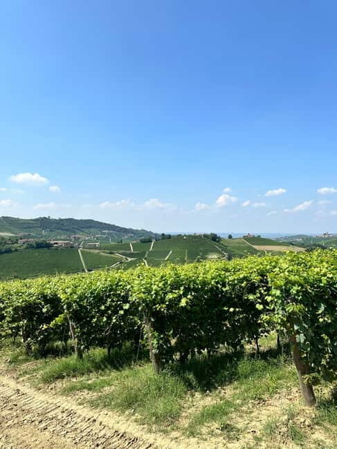 The Best of the Langhe: Wine Tasting & Traditional Meal - Who is This Tour Best Suited For?