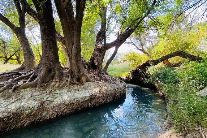 The best tour to Bustamante + Guide + transfer + tickets - What We Like About This Tour