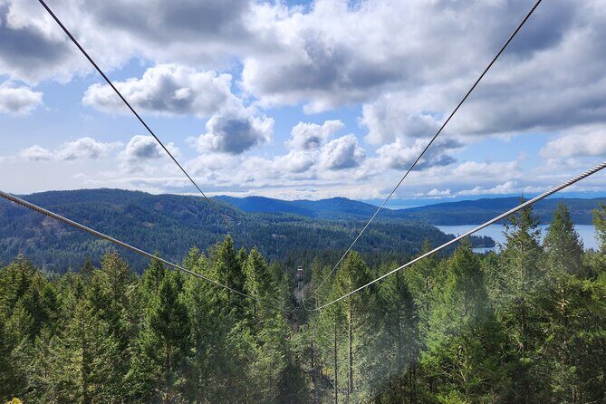 The Big Zip Experience - What Does the Price Include?