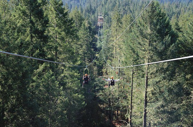 The Big Zip Experience - How Safe and Well-Managed Is It?