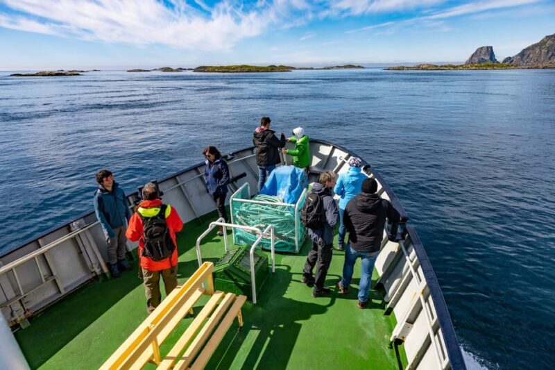 The Bird Safari Tour - The Itinerary Breakdown: What to Expect