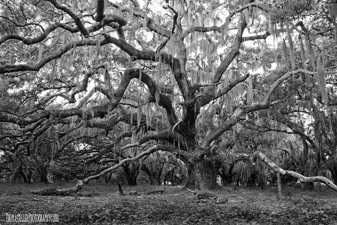 The Blackest Ghost Tour Ages 17 and Above - A Closer Look at The Blackest Ghost Tour