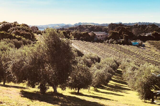 The Boutique Experience: Waiheke Best Cellar Tour (11 guests max) - The Price and Overall Value