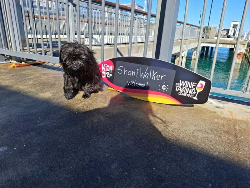 The Boutique Experience: Waiheke Island Best Cellar Tour - What’s the Experience Like?