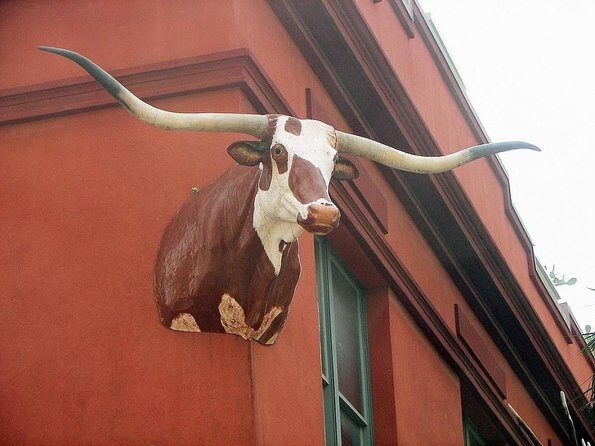 The Buckhorn Saloon & Museum and Texas Ranger Museum Admission - A Deep Dive into the Experience