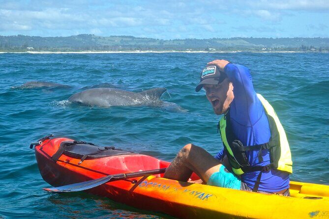 The Byron Bay Sea Kayak Tour - The Overall Experience