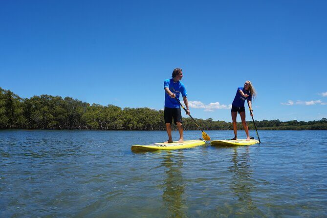 The Byron Bay Sea Kayak Tour - The Sum Up