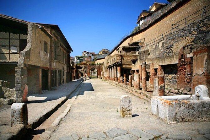 The charm of Pompeii and Herculaneum.Private Tour with Official Guide - An In-Depth Look at the Tour