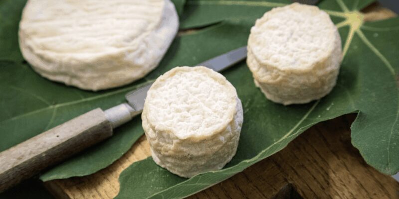 The cheeses and goats of the Roero. - Who Should Consider This Tour?