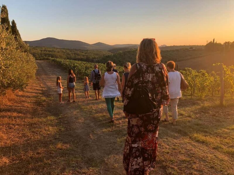 The Chimera d'Albegna: tour and wine tasting. - Key Points