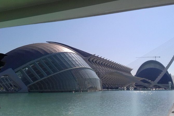 The City of Arts and Sciences in Valencia - The Verdict: Who Should Consider This Tour?