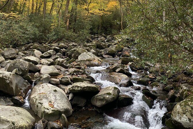 The "Classic" National Park Tour - Practical Details That Matter