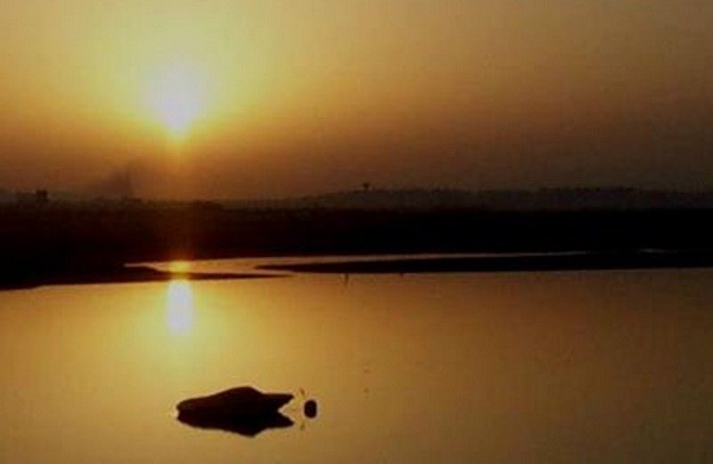 The Colors of Ria Formosa: Sunset Boat Trip in Faro - What You Can Expect from the Sunset Boat Trip