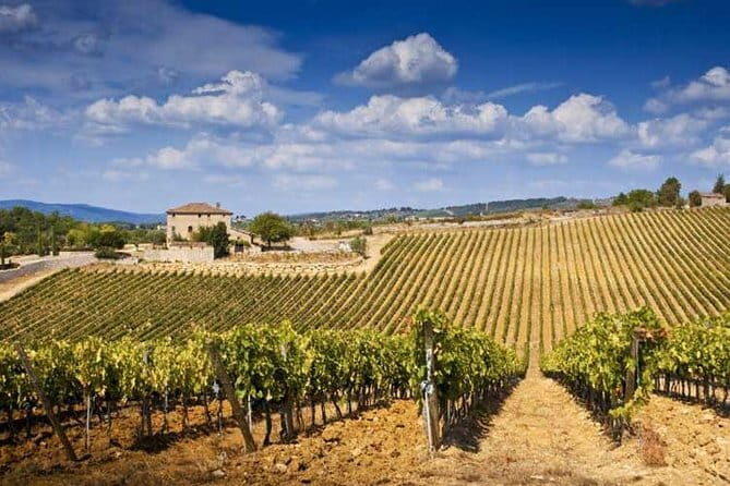 The Complete Wine Tour Brunello, Nobile, Chianti wine experience - A Closer Look at the Itinerary