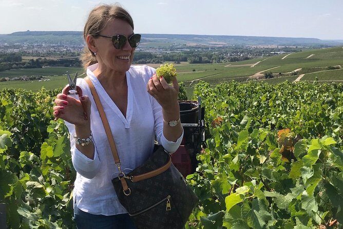 The Connoisseurs from Epernay (Private Half day Champagne Tour) - FAQs