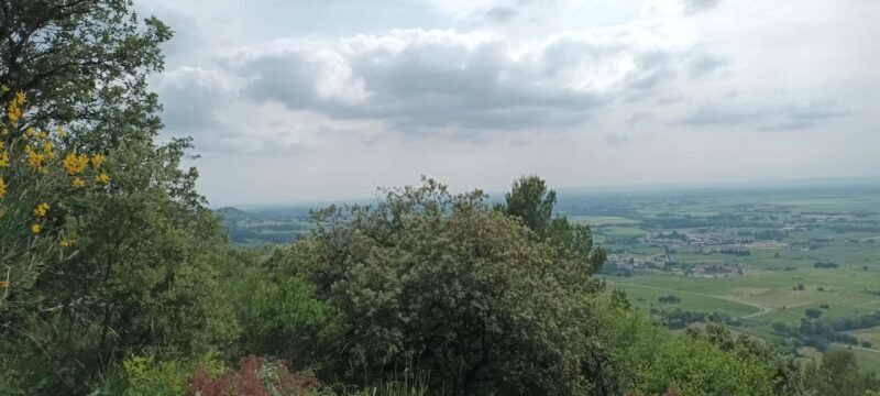 The Côtes du Rhône wine route by electric bike - The Experience Provider and What’s Included