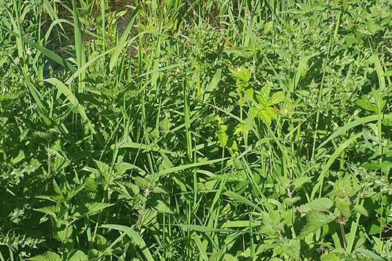 The Cotswolds England Bus Tour - How the Day Flows and Why It Matters