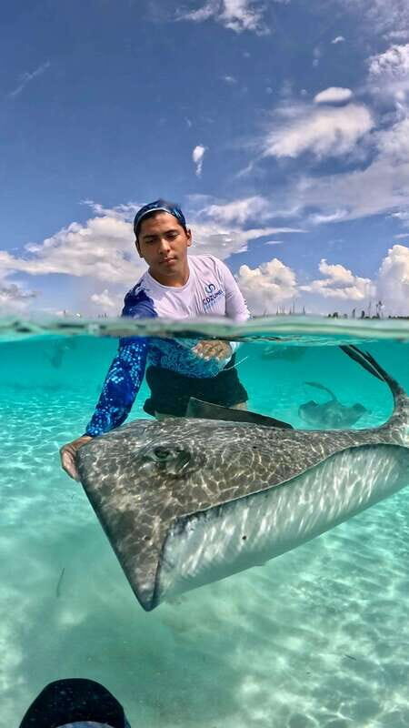 The Cozumel Turtle Sanctuary Snorkel Tour - An In-Depth Look at the Experience