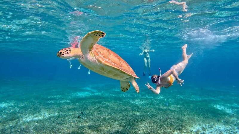 The Cozumel Turtle Sanctuary Snorkel Tour - FAQs