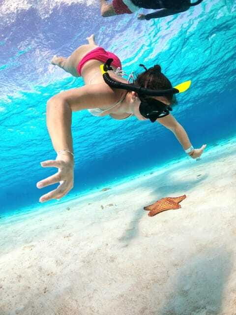 The Cozumel Turtle Sanctuary Snorkel Tour - In The Sum Up