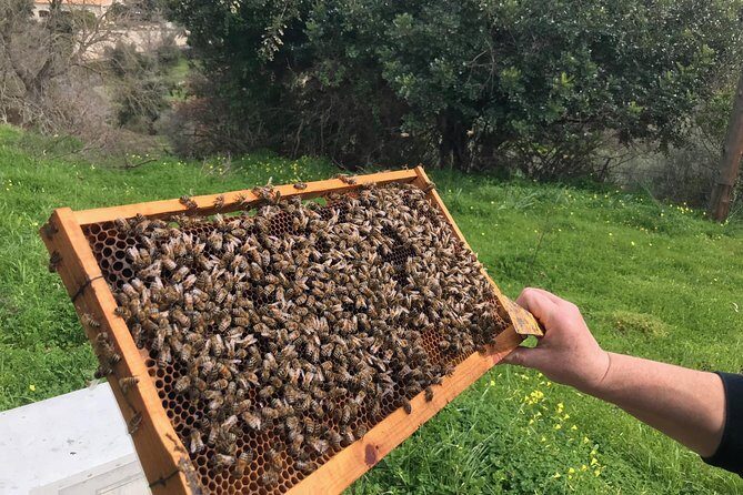 The Cretan Way of Life at the mountains of Rethymno (Mylopotamos) - Frequently Asked Questions