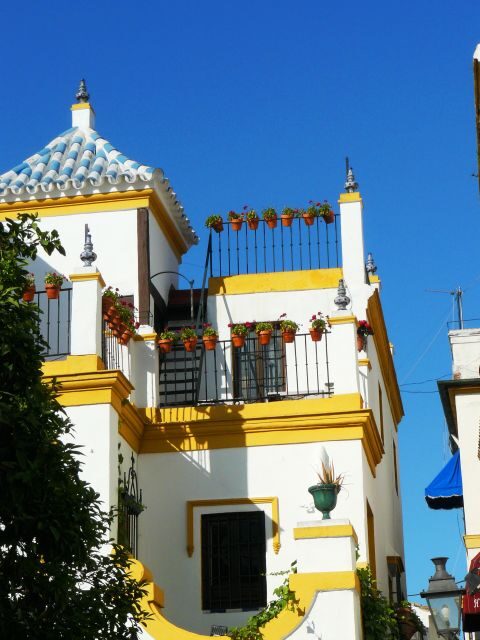 The Cultures of Seville Walking Tour - The Value of the Experience