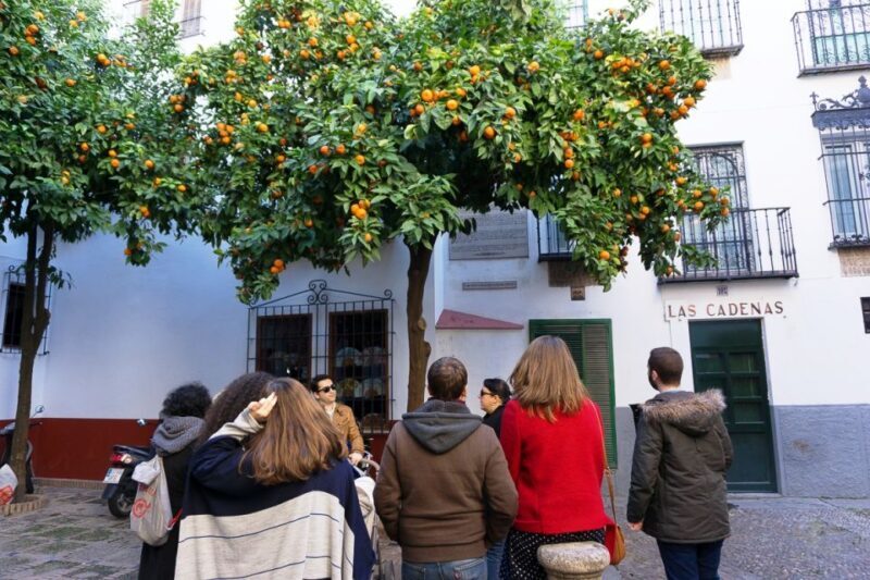 The Cultures of Seville Walking Tour - What the Reviews Say