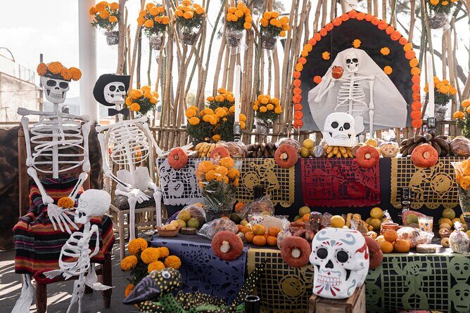 The Day of the Dead Private Tour in Mexico City - Key Points
