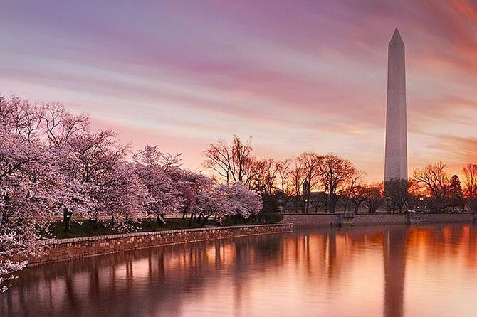 The DC Cherry Blossom Tour - Key Points