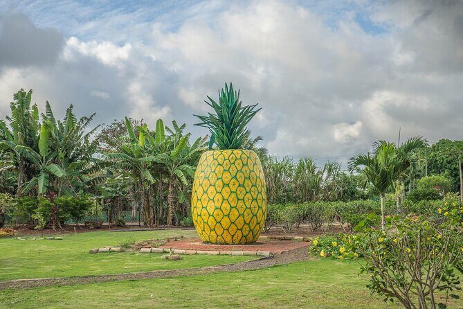 "The Dole Plantation" & "North Shore" Private Limousine VIP Tour! - A Closer Look at the Itinerary and Experience