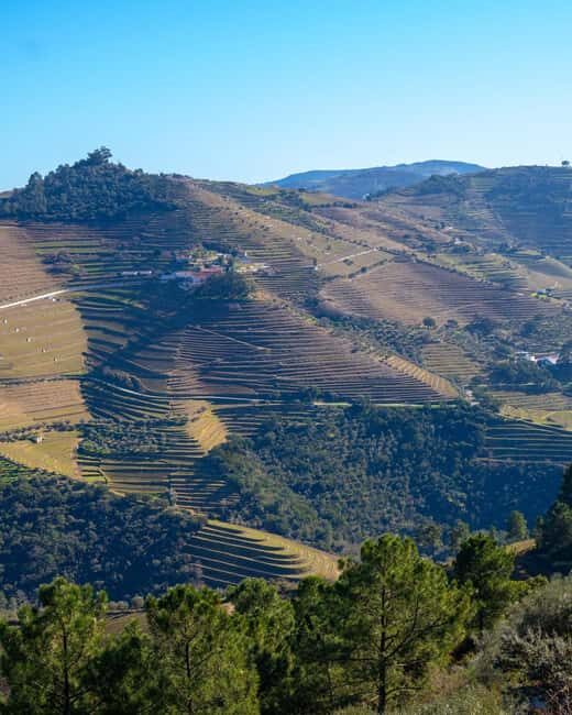 The Douro Valley Tour  Late Start Experience - Wine Tasting at the First Winery