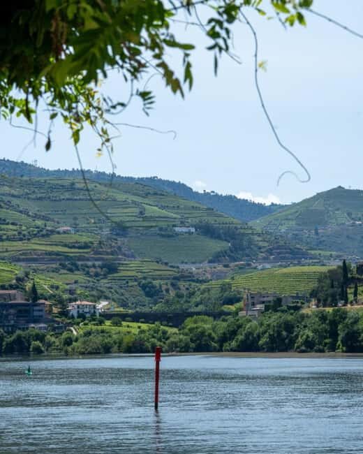 The Douro Valley Tour  Late Start Experience - Exploring Pinhão
