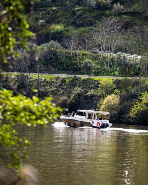 The Douro Valley Tour  Late Start Experience - Wrap-up and Return to Porto