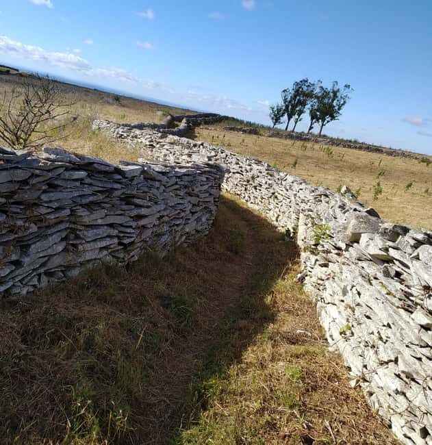 The Earth Remembers: SUV Tour in Serras de Aire e Candeeiros - An In-Depth Look at the Tour Experience