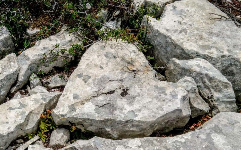 The Earth Remembers: SUV Tour in Serras de Aire e Candeeiros - Is This Tour Family-Friendly or Suitable for Children?