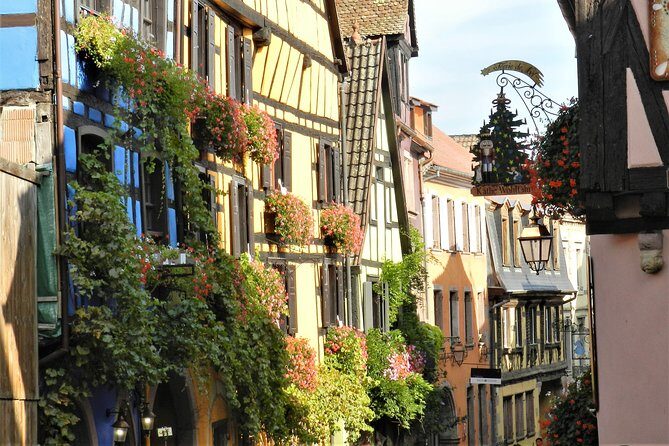 The Emblematic: visit of villages, Haut-Koenigsbourg, Wine tasting - What Travelers Are Saying