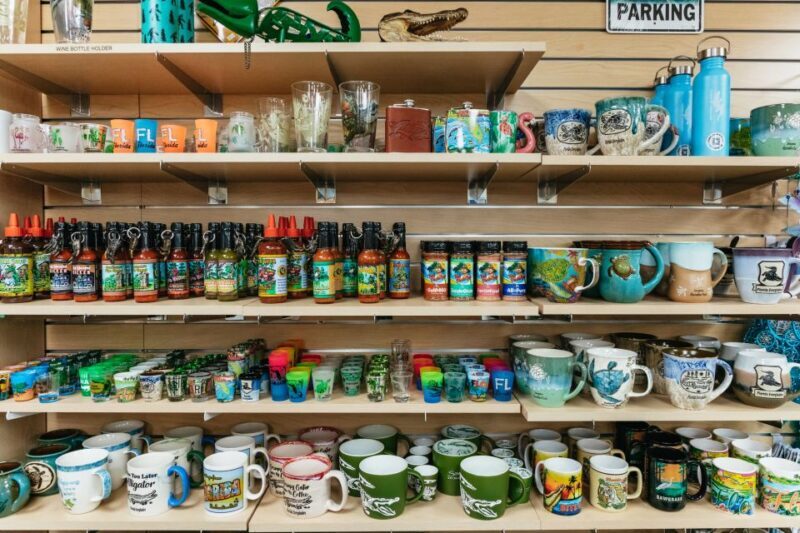 The Everglades: 1-Hour Airboat Night Tour - The Sum Up